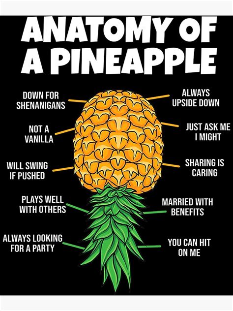 pineapple swinger